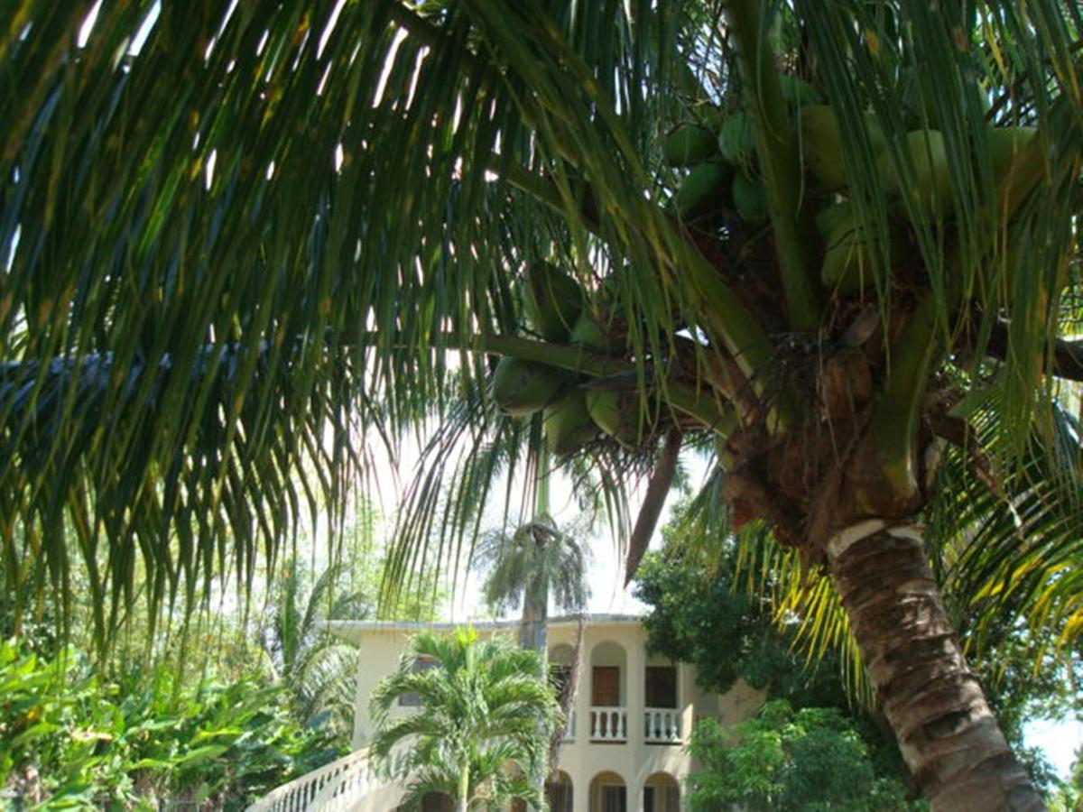 Ocean Wave Villa, Negril Exterior photo