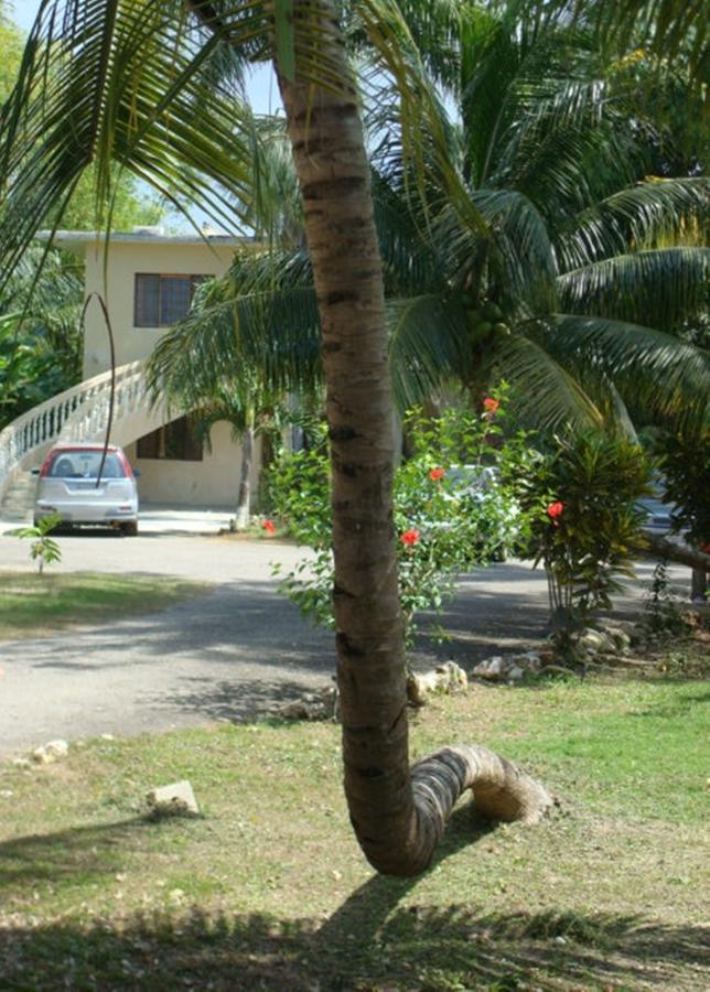 Ocean Wave Villa, Negril Exterior photo