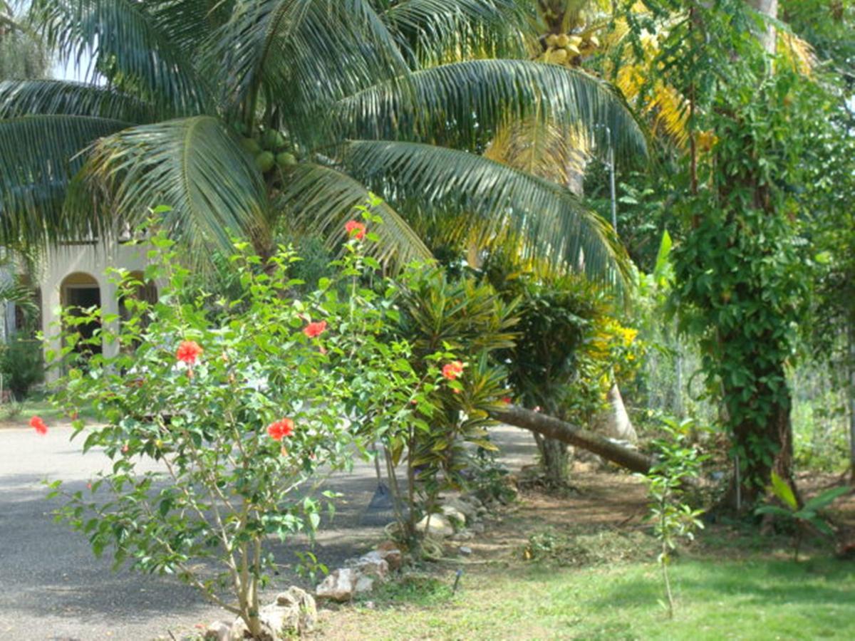 Ocean Wave Villa, Negril Exterior photo