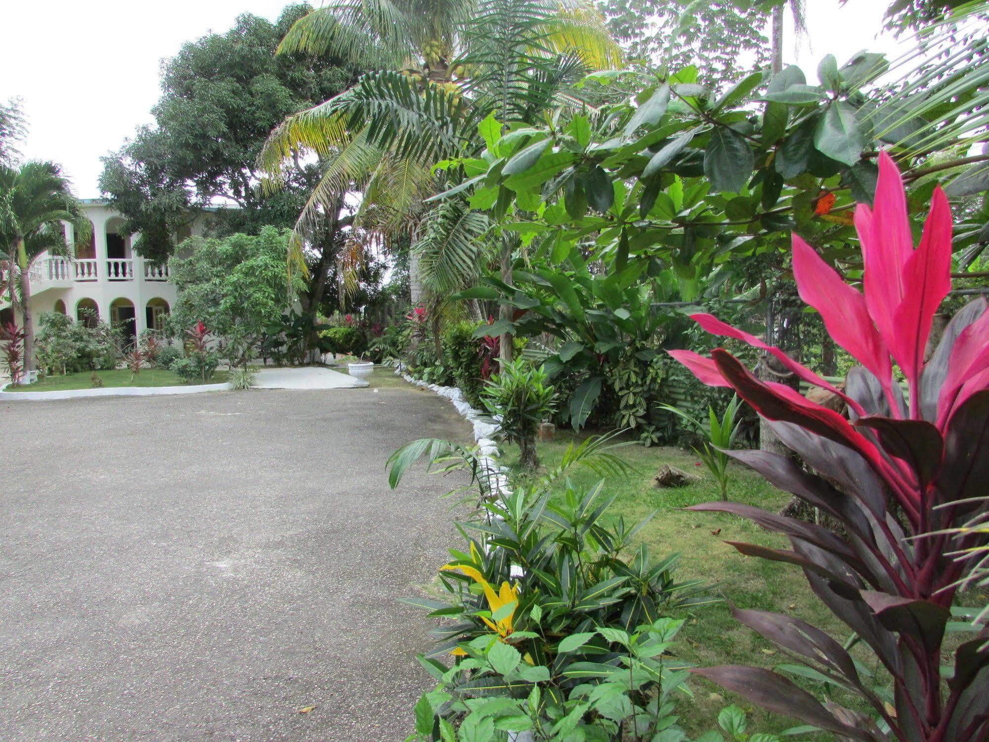 Ocean Wave Villa, Negril Exterior photo